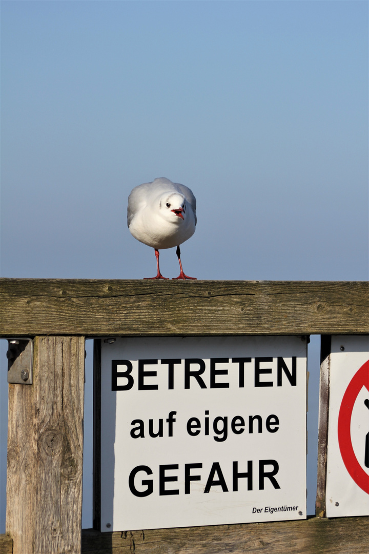 ....mir doch egal!