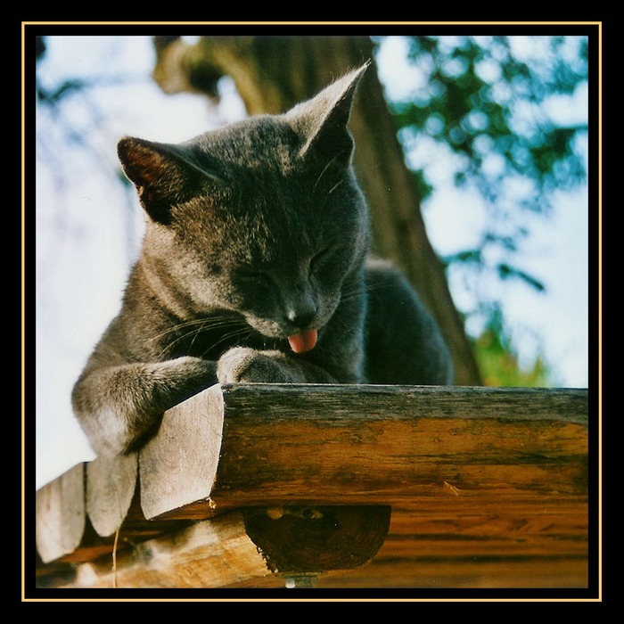 ...mir doch egal, ob die Paparazza guckt...