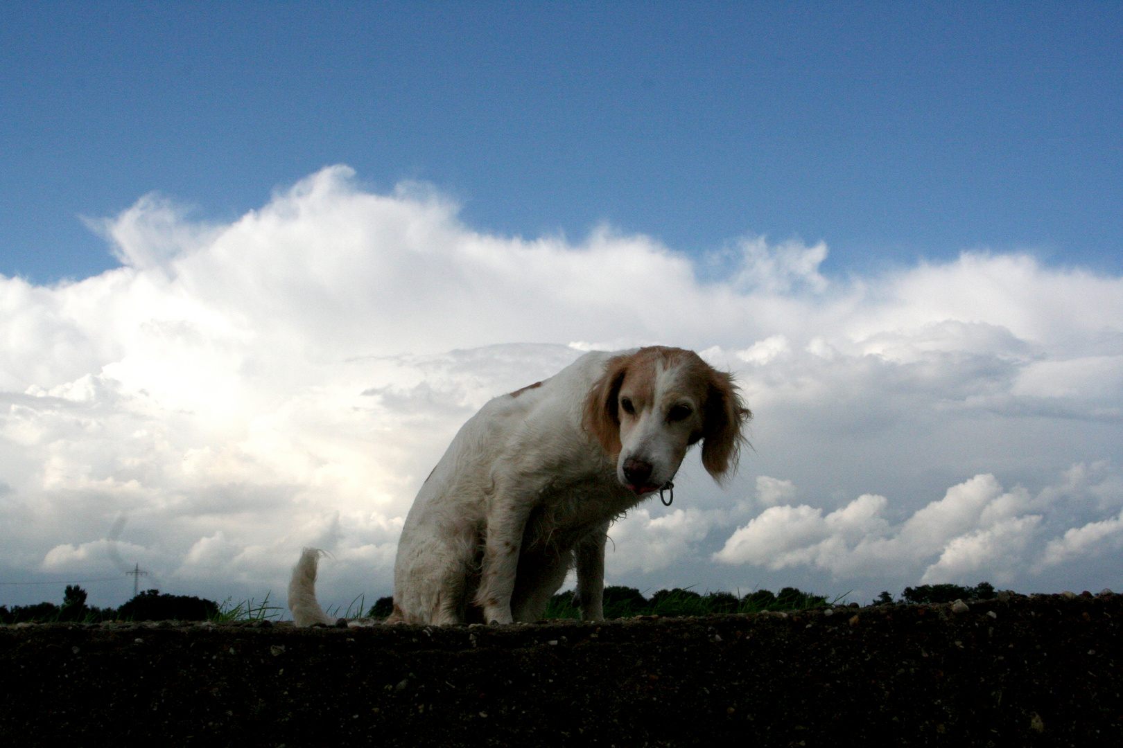 Mir fällt der Himmel auf den Kopf...................