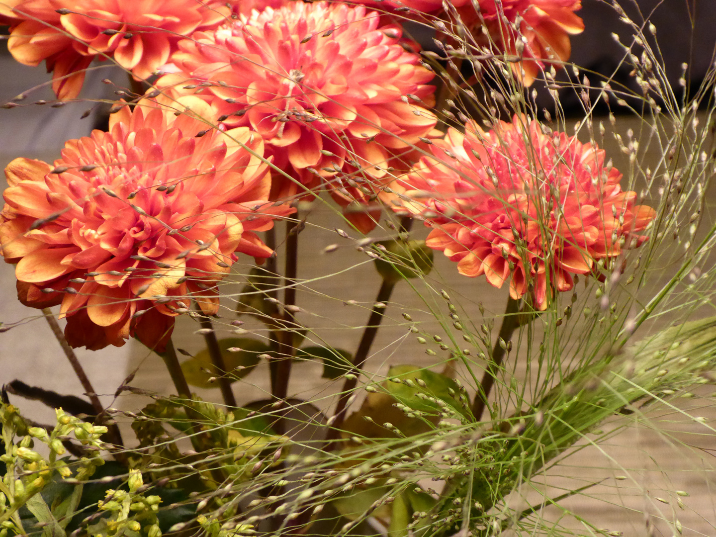 Mir Fallt Der Name Blumen Nicht Ein Tarten Rispen Passen Mir Fallt Der Name Blumen Nicht Ein Tarten Rispen Passen Jedoch Gut Dazu