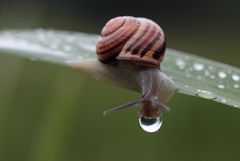 Mir hängt der Regen langsam zum Halse raus...