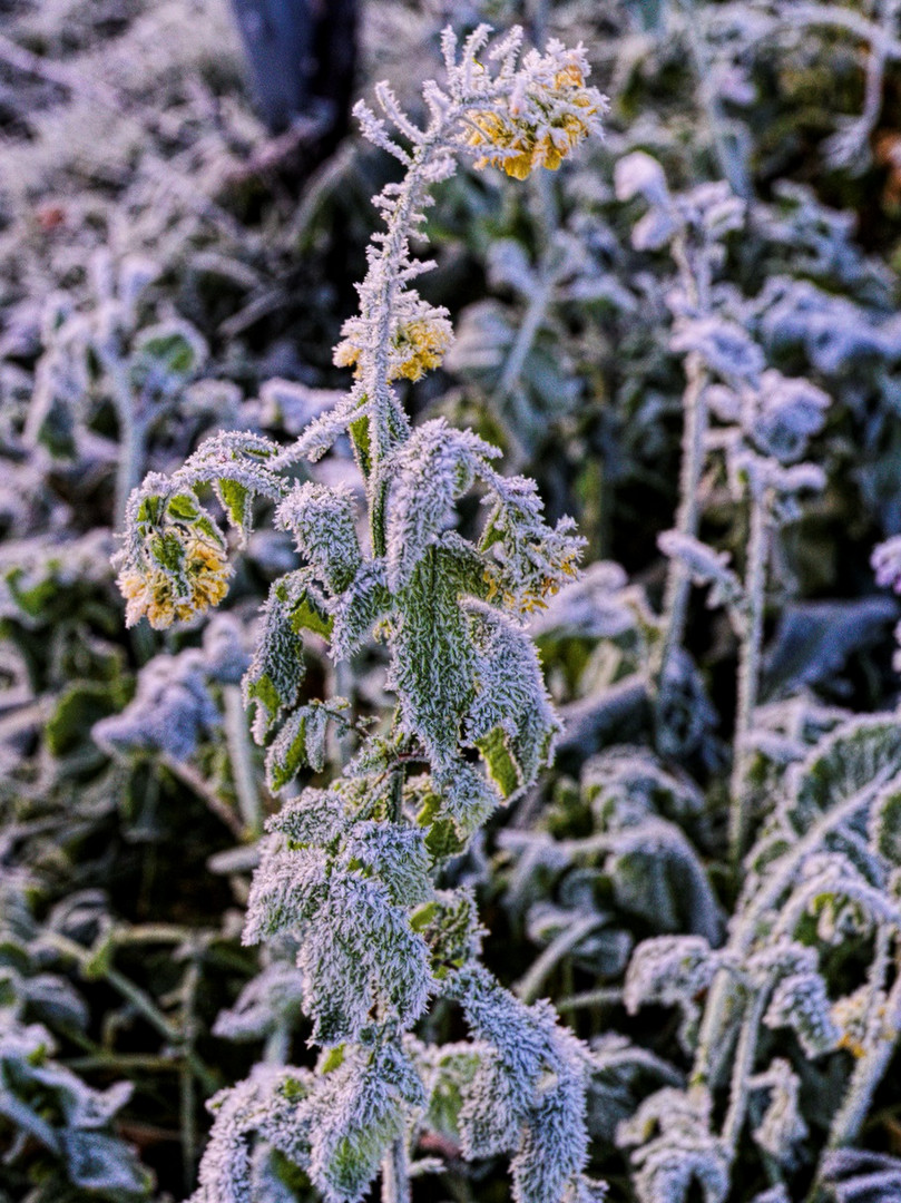 mir ist kalt Foto & Bild landschaft, jahreszeiten, winter Bilder auf
