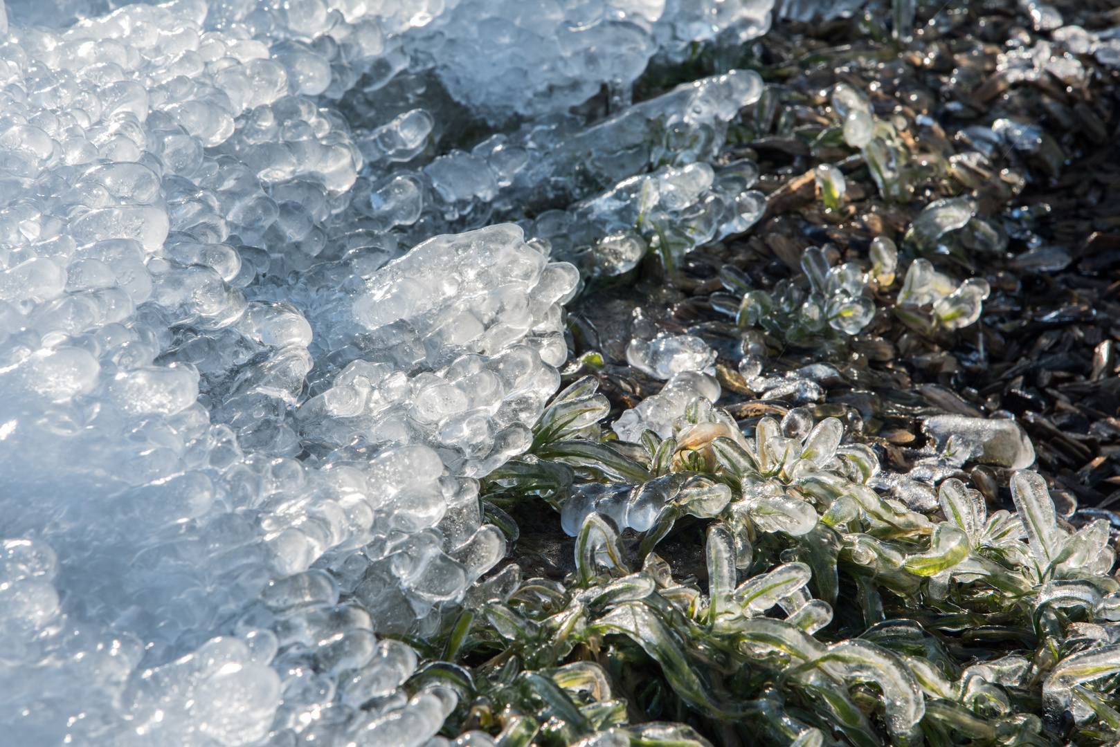 mir ist kalt- im Eismantel