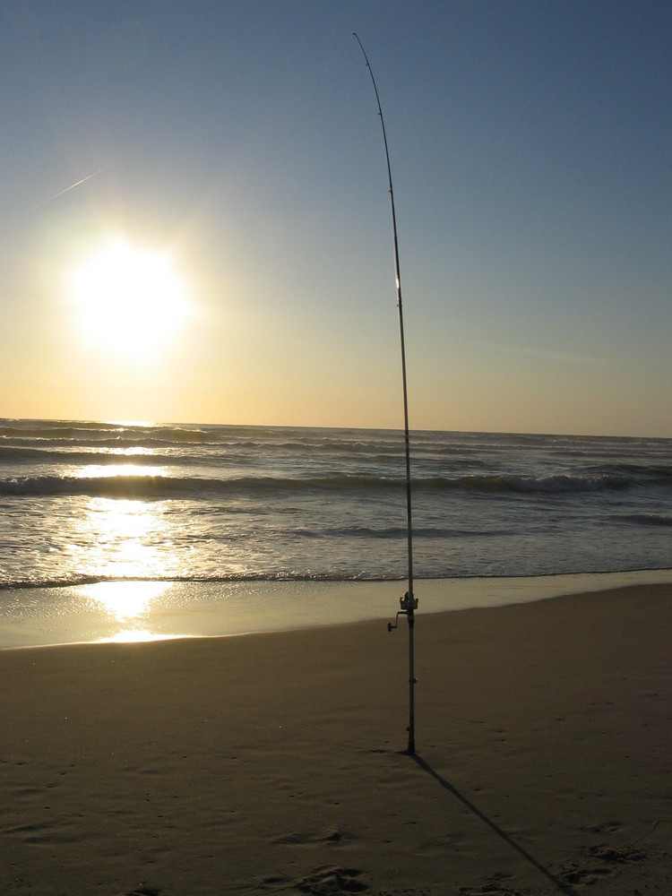 Mir ist nach Sommer, Sonne und Strand