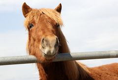 "Mir kann Keine(r) widerstehen..." ;-)