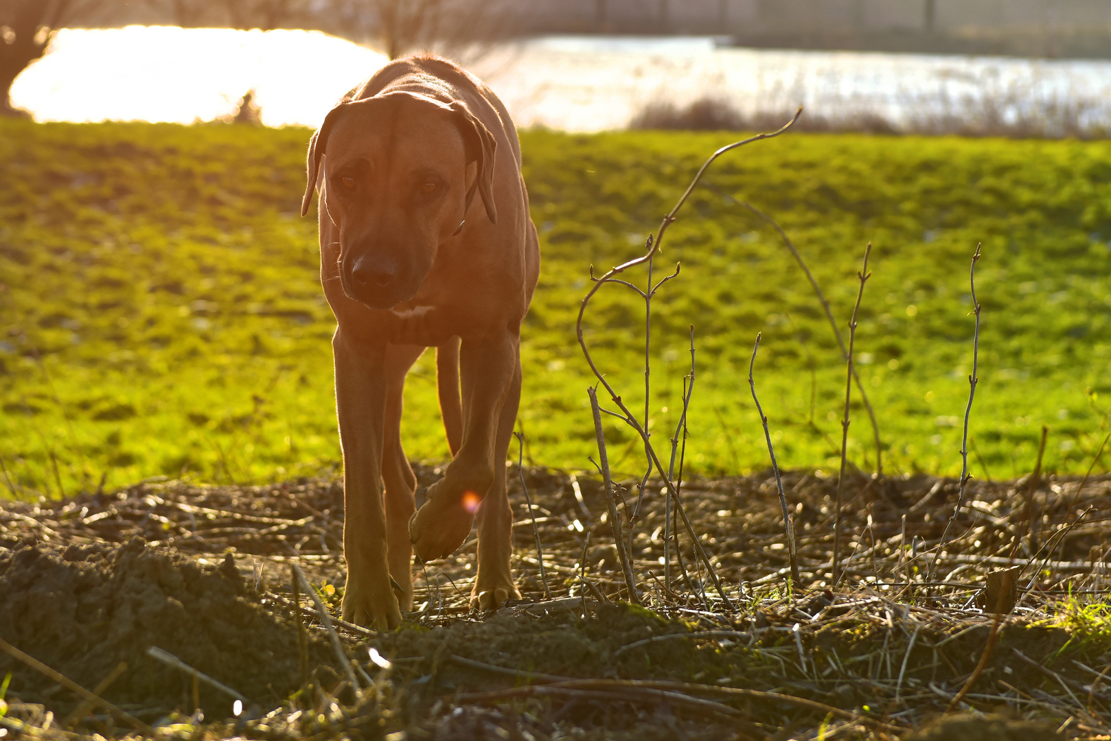 mir scheint die sonne