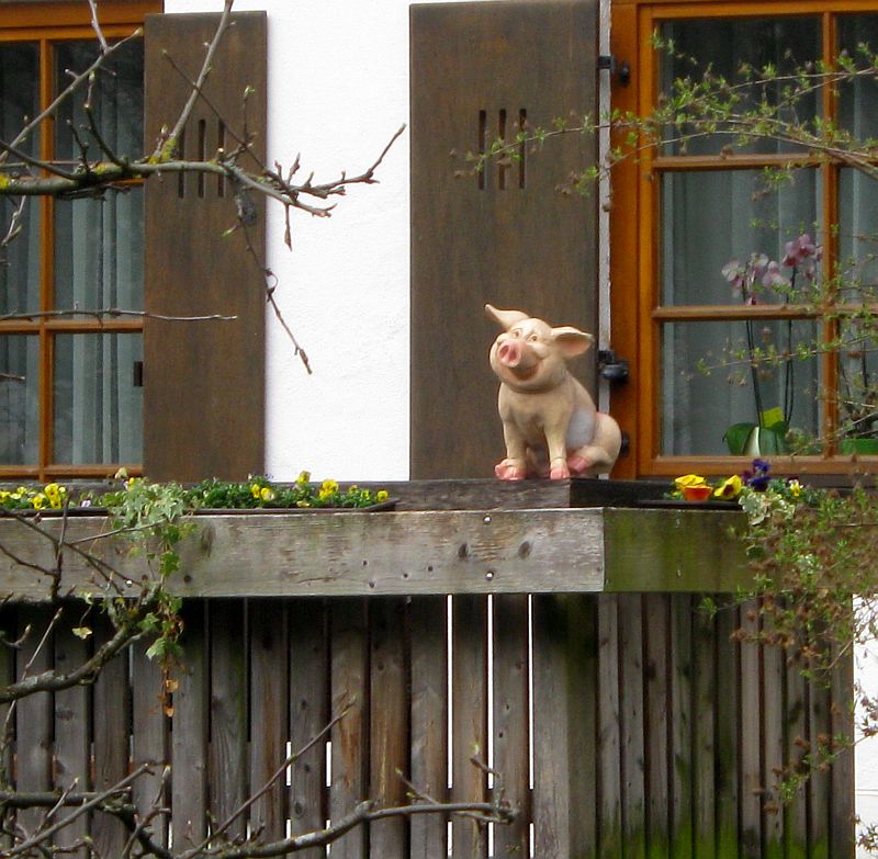 Mir scheint,die haben Schwein!!!!