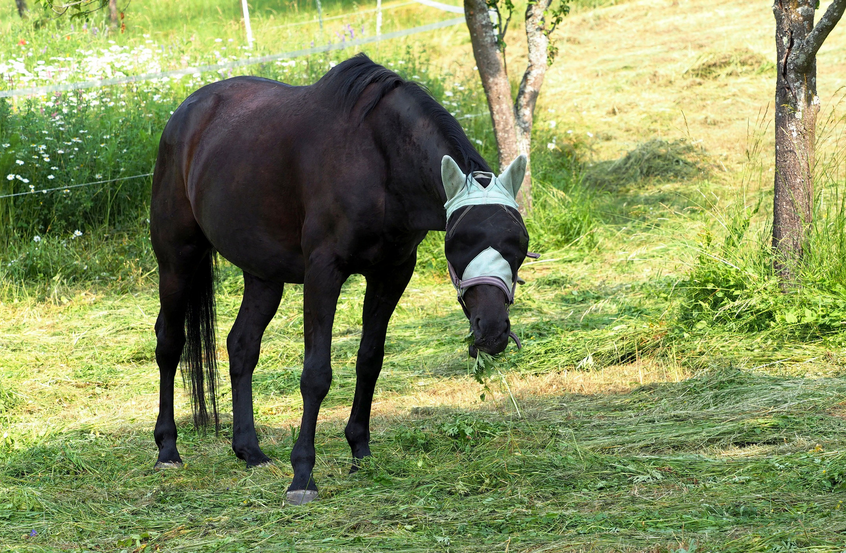 Mir schmeckts