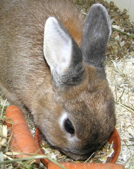 mir schmeckt's !