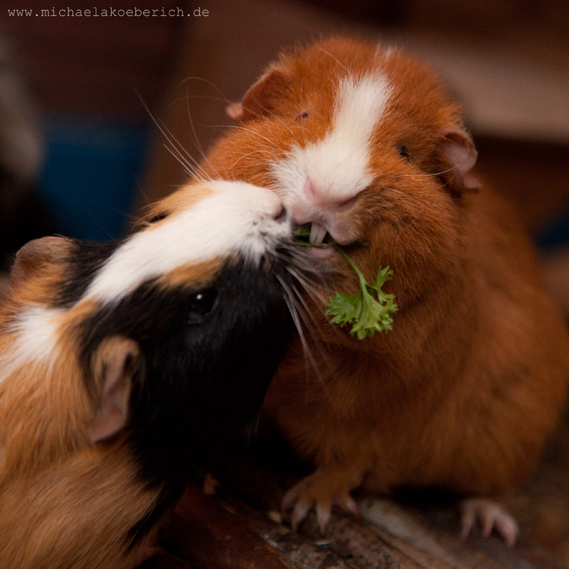 Mir schmeckts!