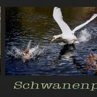 ............... " Mir Schwan(t).....was......"!