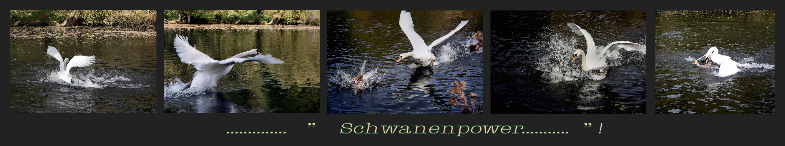 ............... " Mir Schwan(t).....was......"!