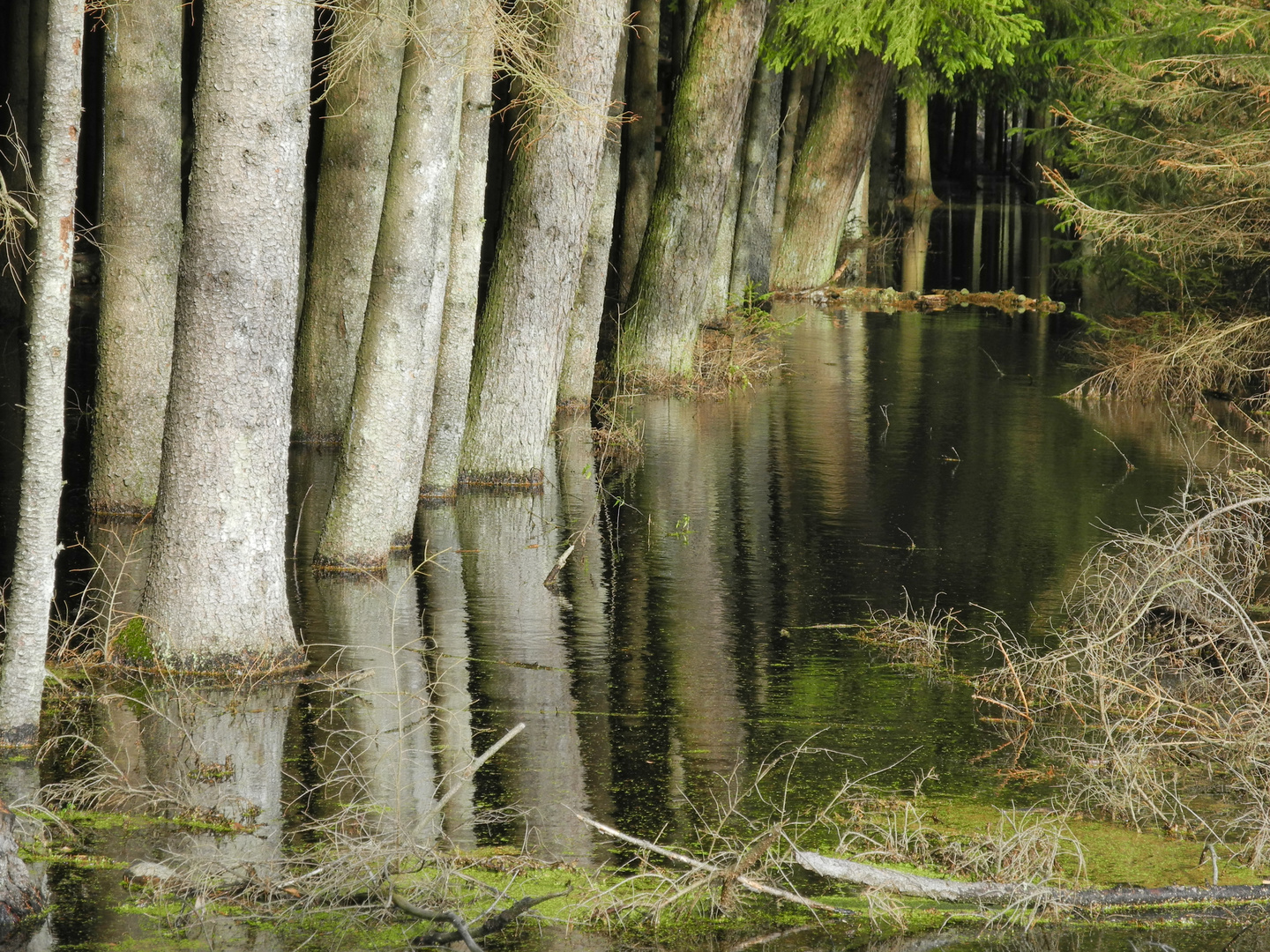 Mir steht das Wasser zum Glück nicht bis zum Hals