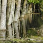 Mir steht das Wasser zum Glück nicht bis zum Hals