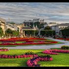 Mirabellgarten - Blick