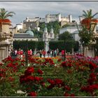 Mirabellgarten Salzburg