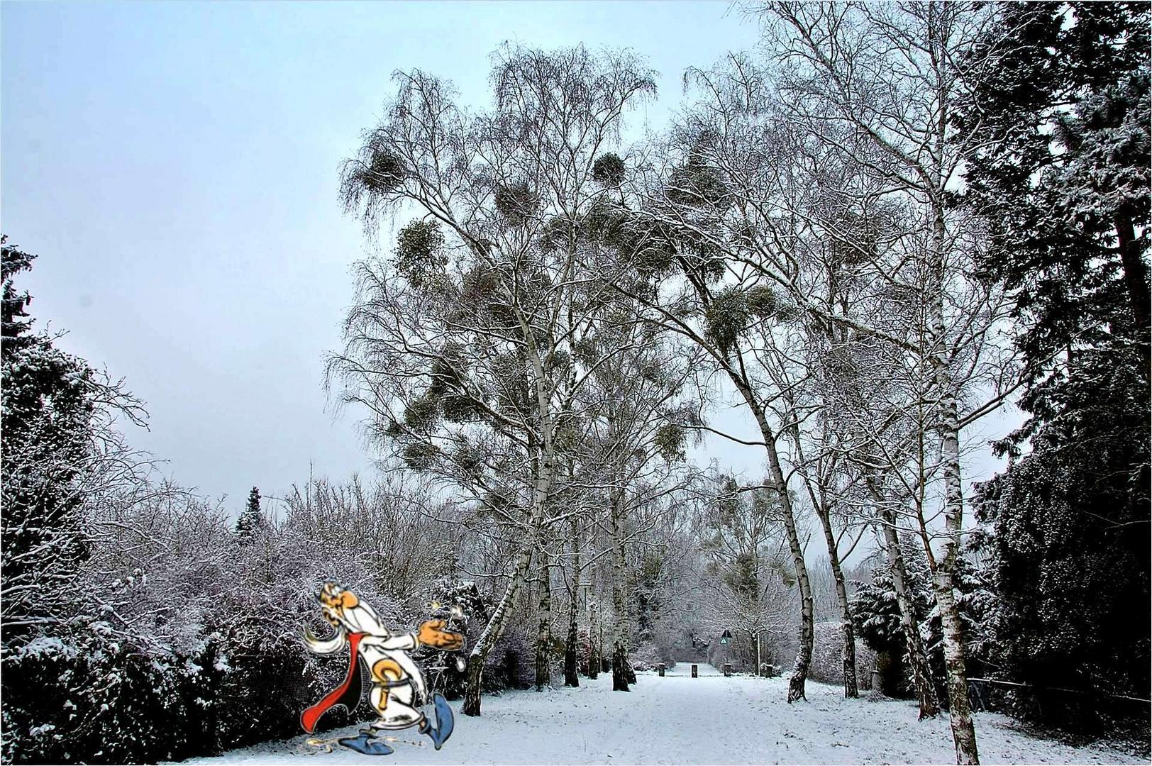 Miraculix auf Misteljagd