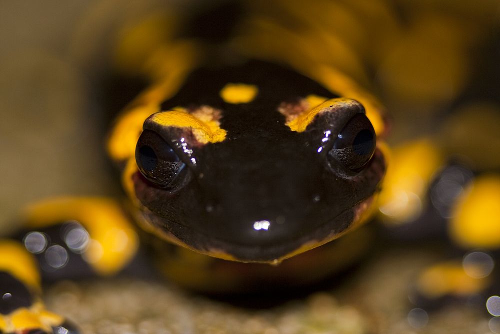 MIRADA de Ismael M. 