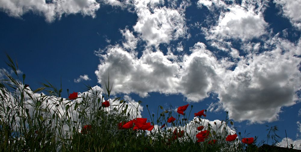 MIRADA AL CIELO