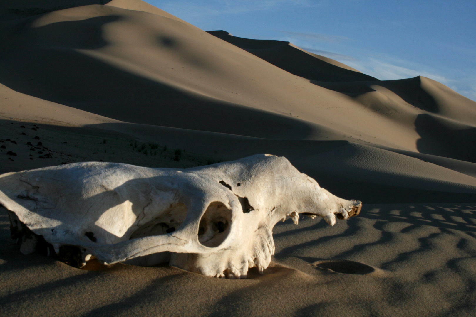 mirada al desierto