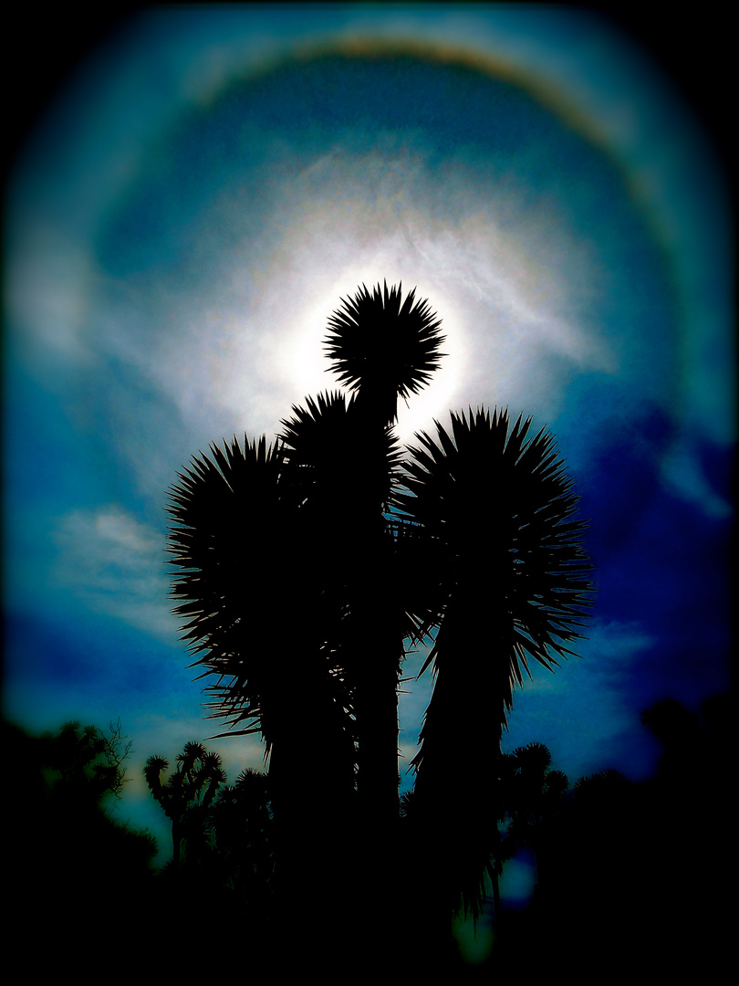 MIRADA DE DIOS