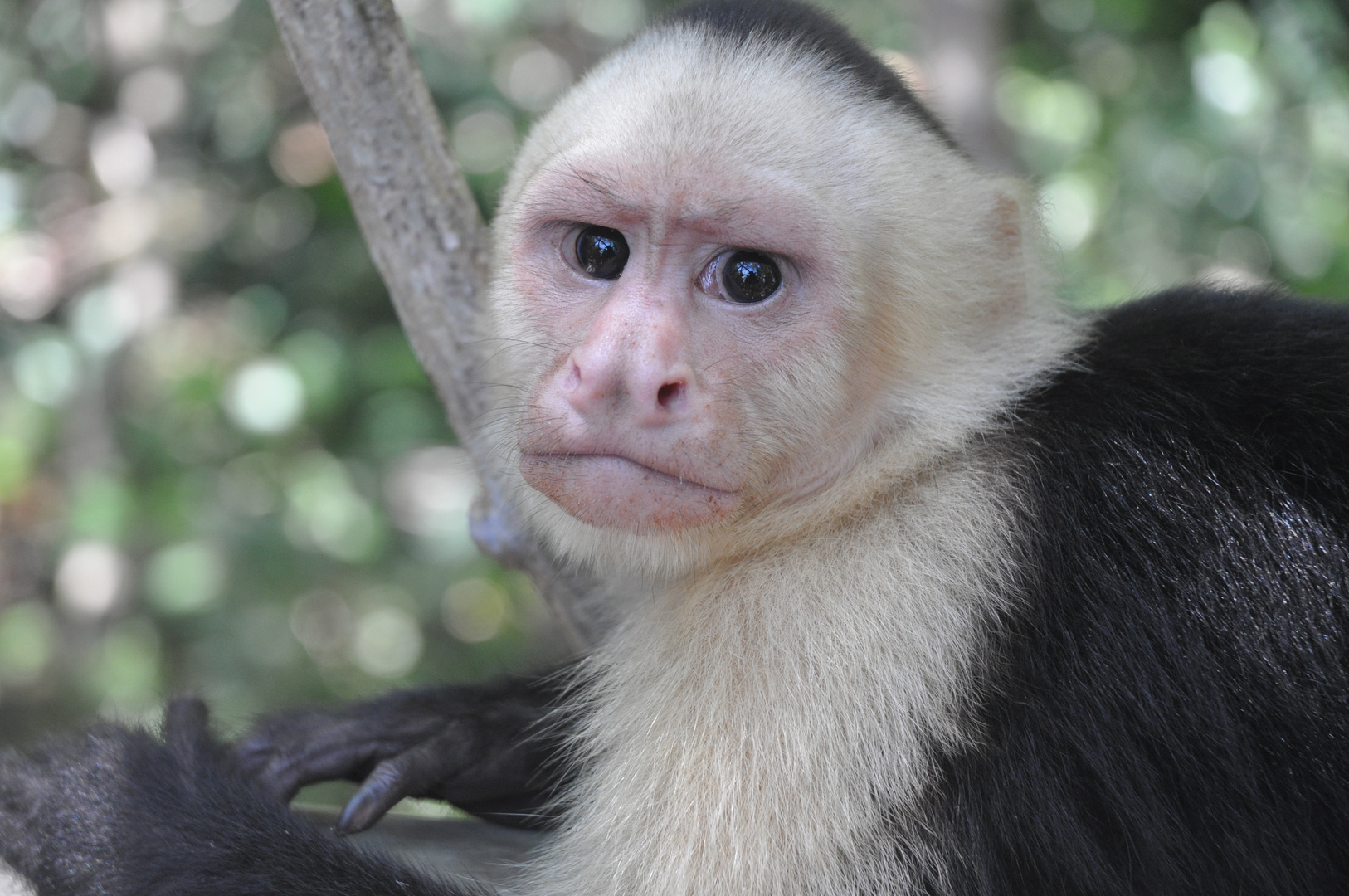 Mirada Penetrante