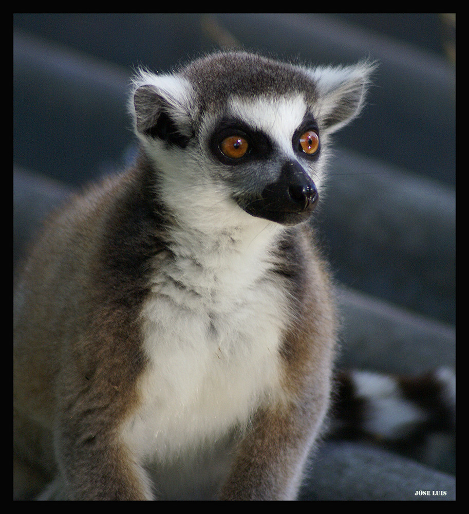 Mirada Profunda