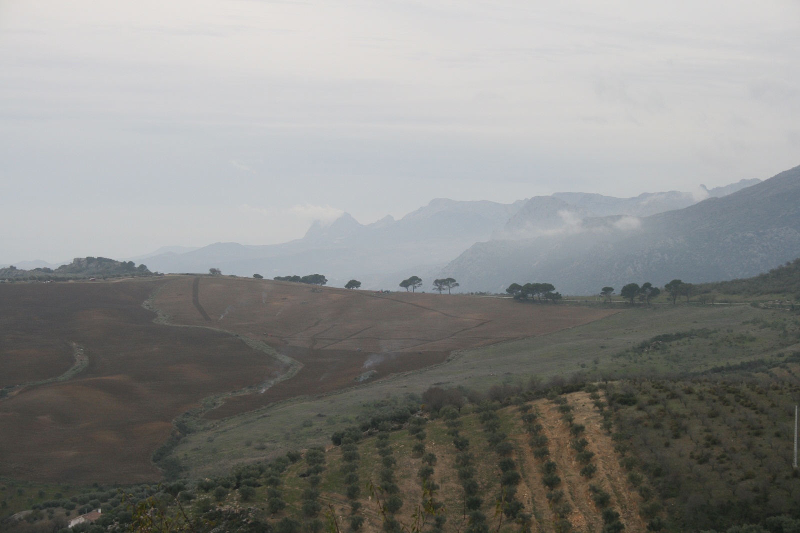 Mirada sobre el campo