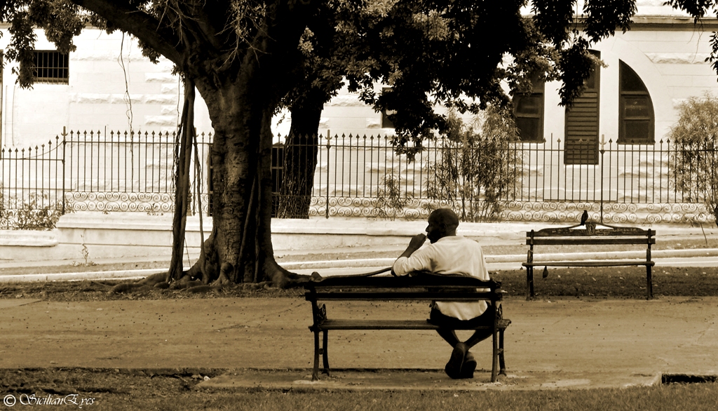 Miradas con diferentes destinos.