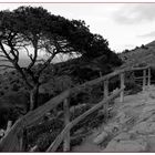 mirador benidorm 20