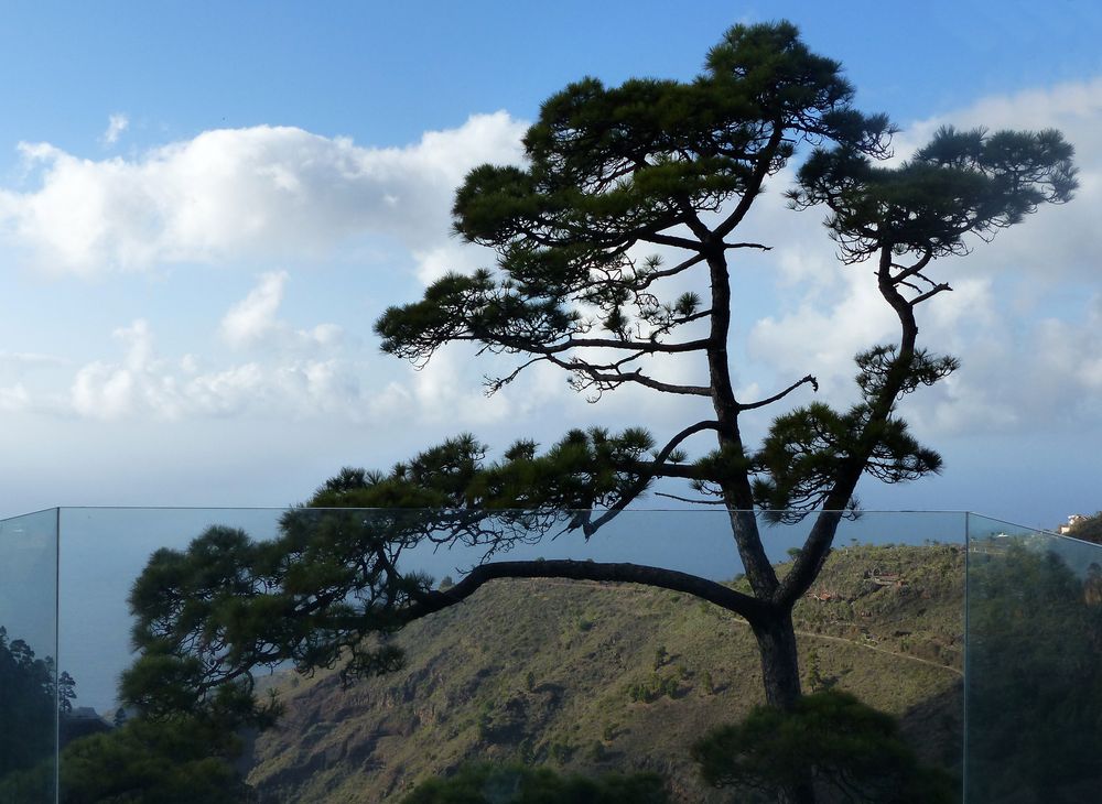 Mirador de Cristal