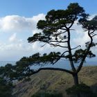 Mirador de Cristal