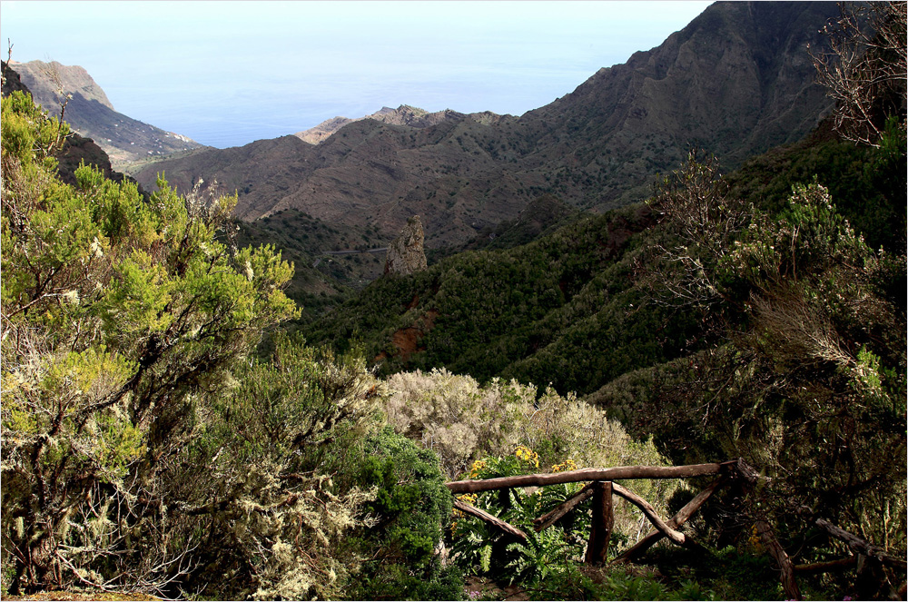 Mirador de El Rejo