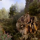 MIRADOR DE LA PIEDRA DE LA ROSA. (LA ROSA DEL TEIDE / TENERIFE)