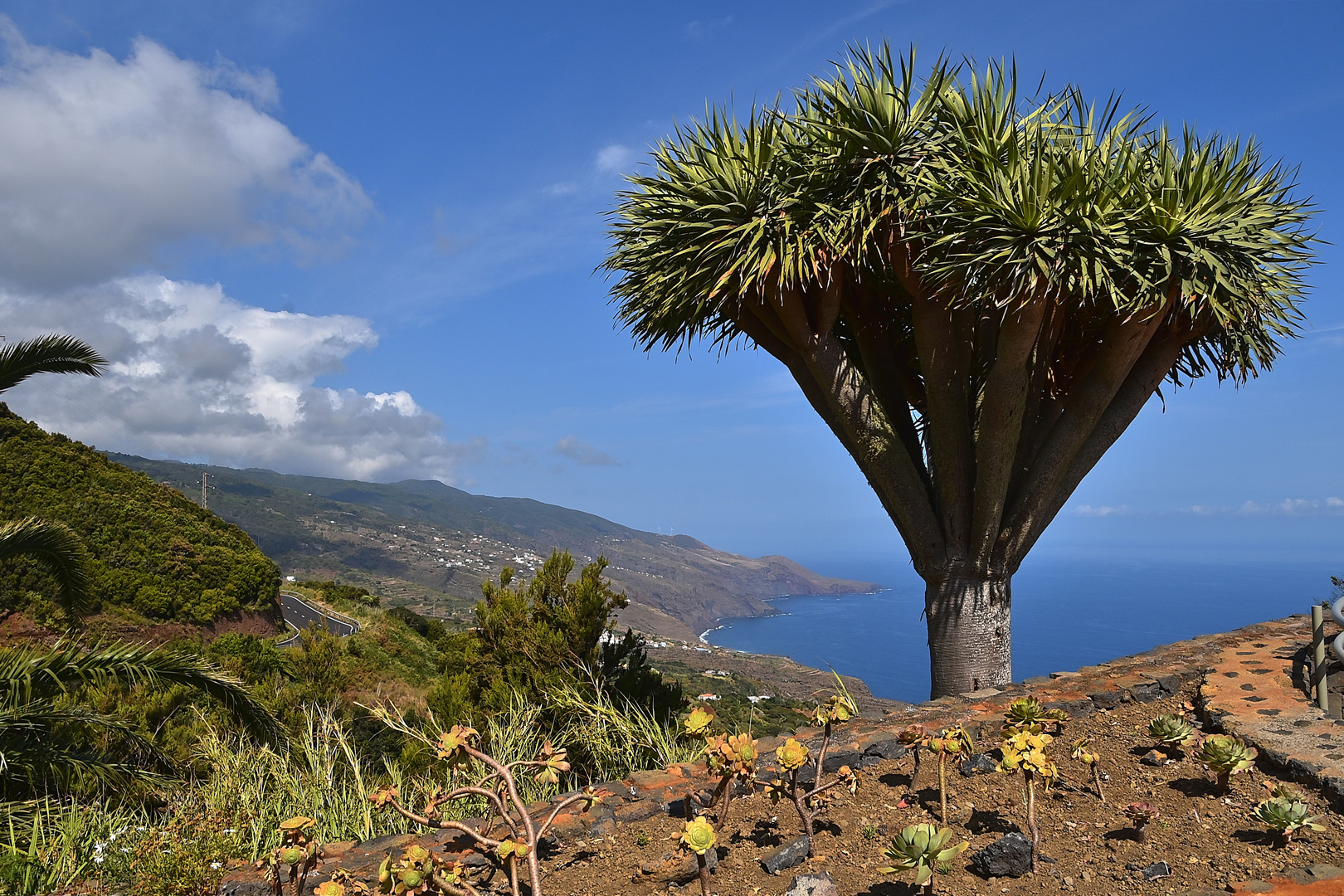 Mirador de La Tosca (Barlovento) La Palma