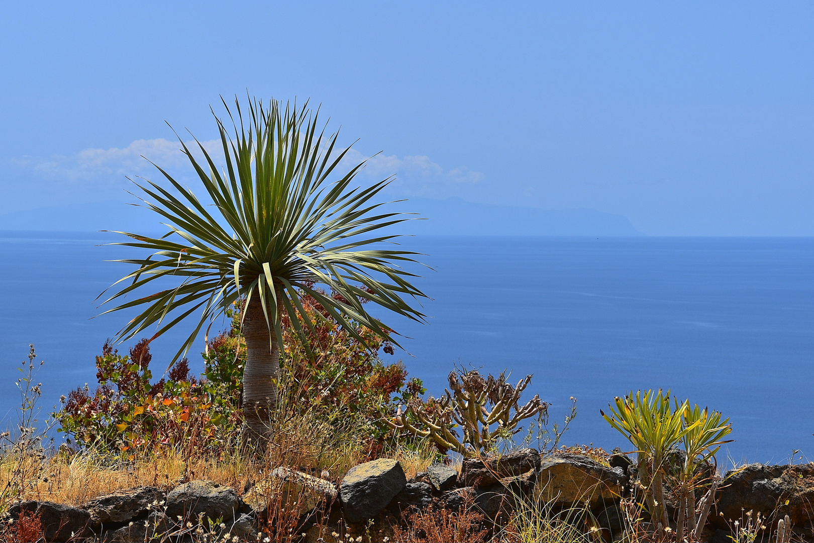 Mirador de San Juanito / La Palma