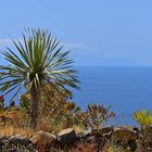 Mirador de San Juanito / La Palma