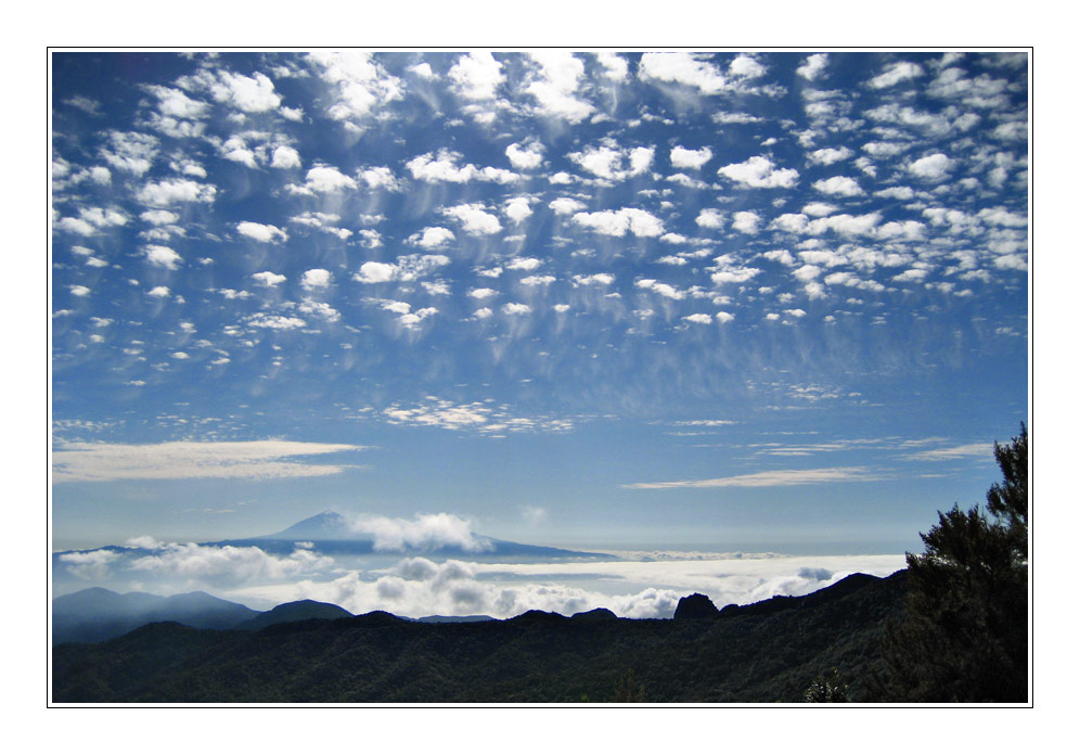 mirador del teide