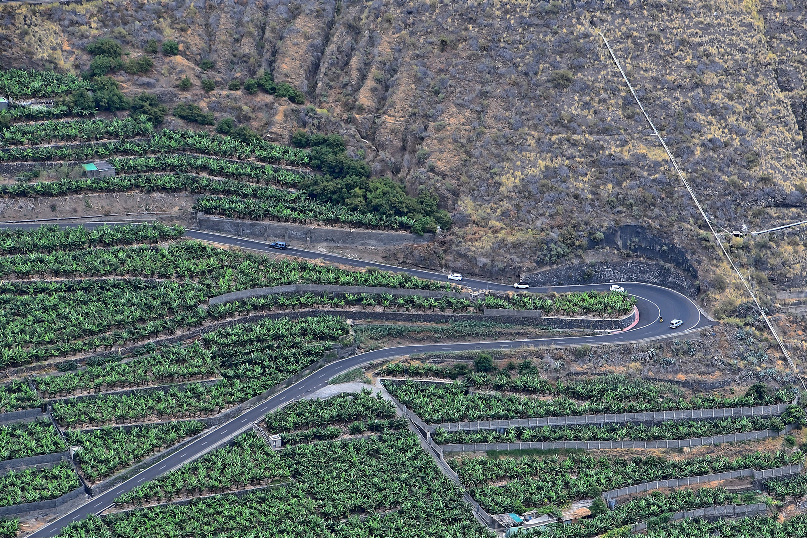 Mirador el Time