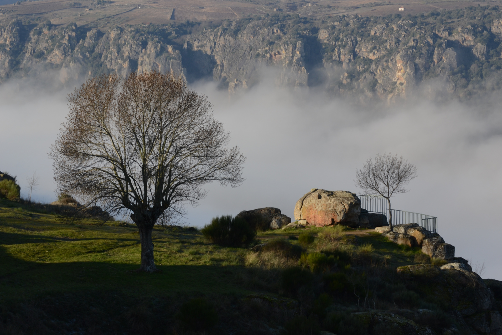 mirador hacia las nubes