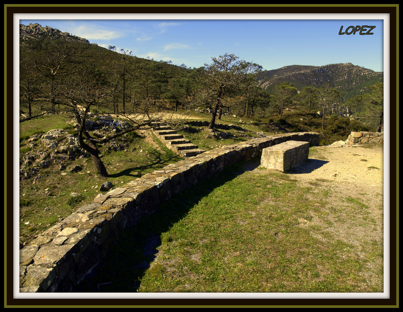 MIRADOR HOYOS DE DON PEDRO