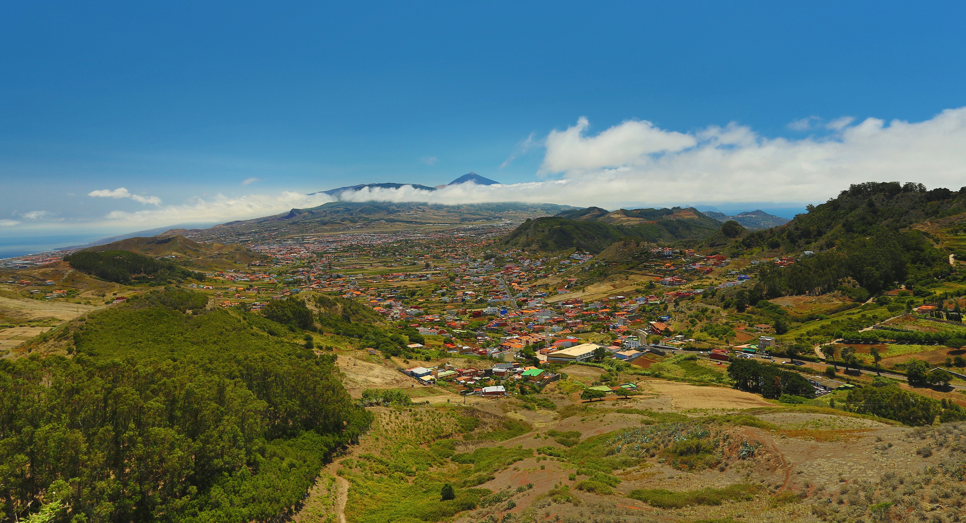 Mirador Jardina