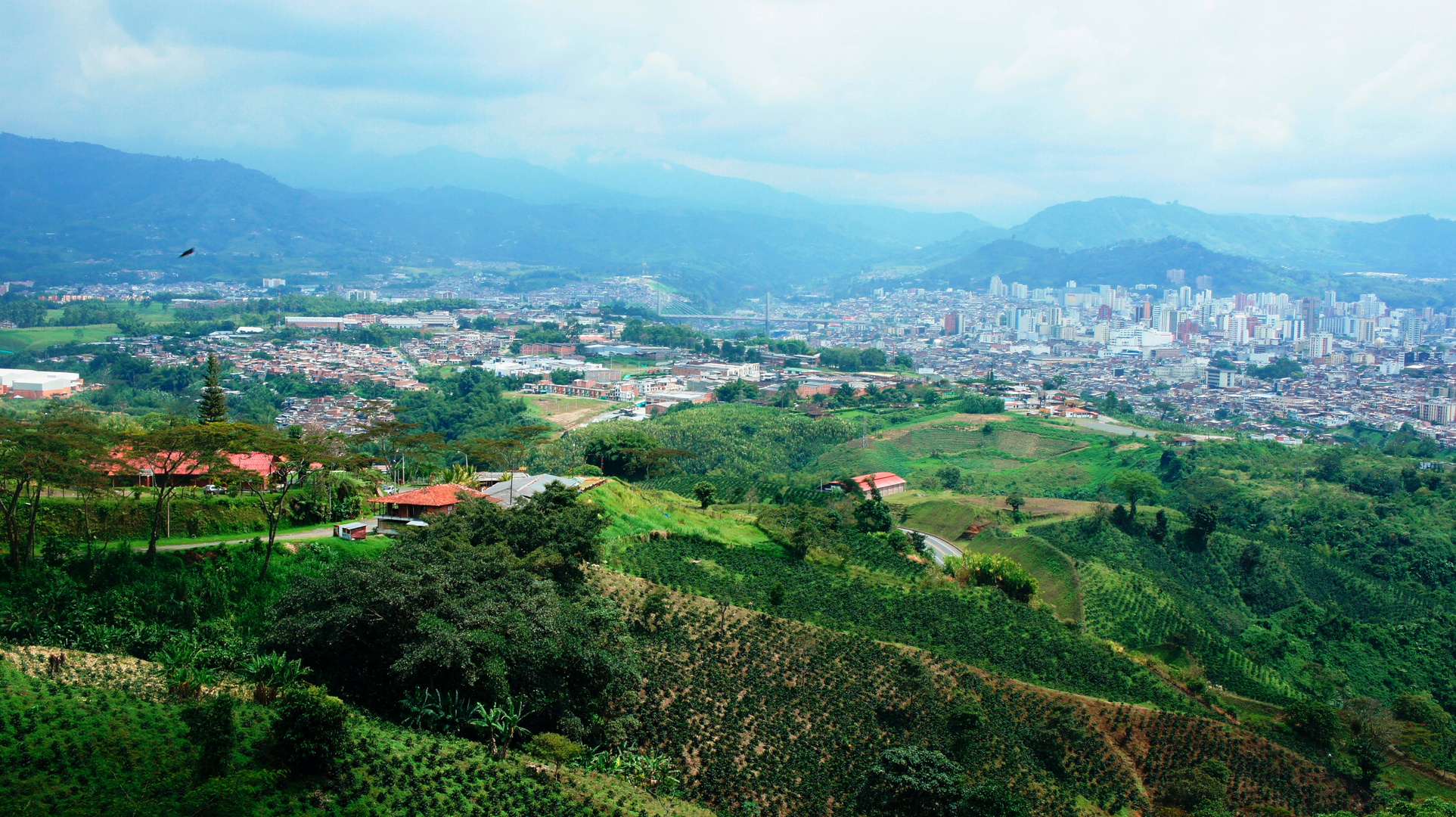 MIRADOR LAS CAMELIAS, PEREIRA Y DOSQUEBRADAS