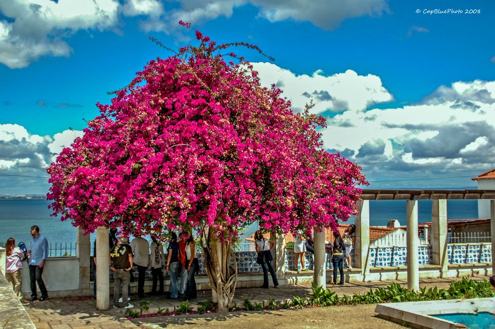 Miradouro de Santa Luzia