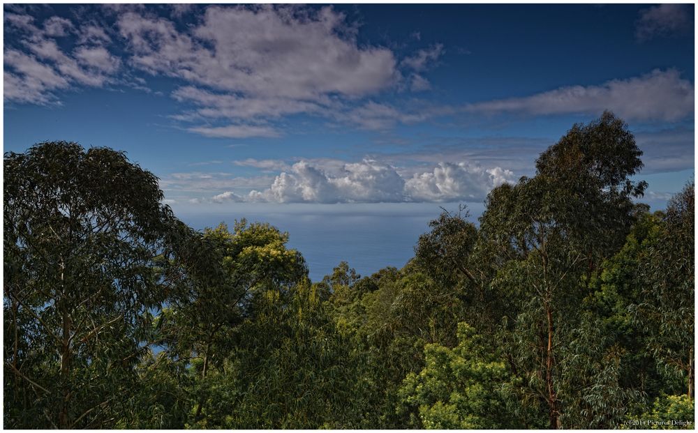 - Miradouro Do Cabo Girao -