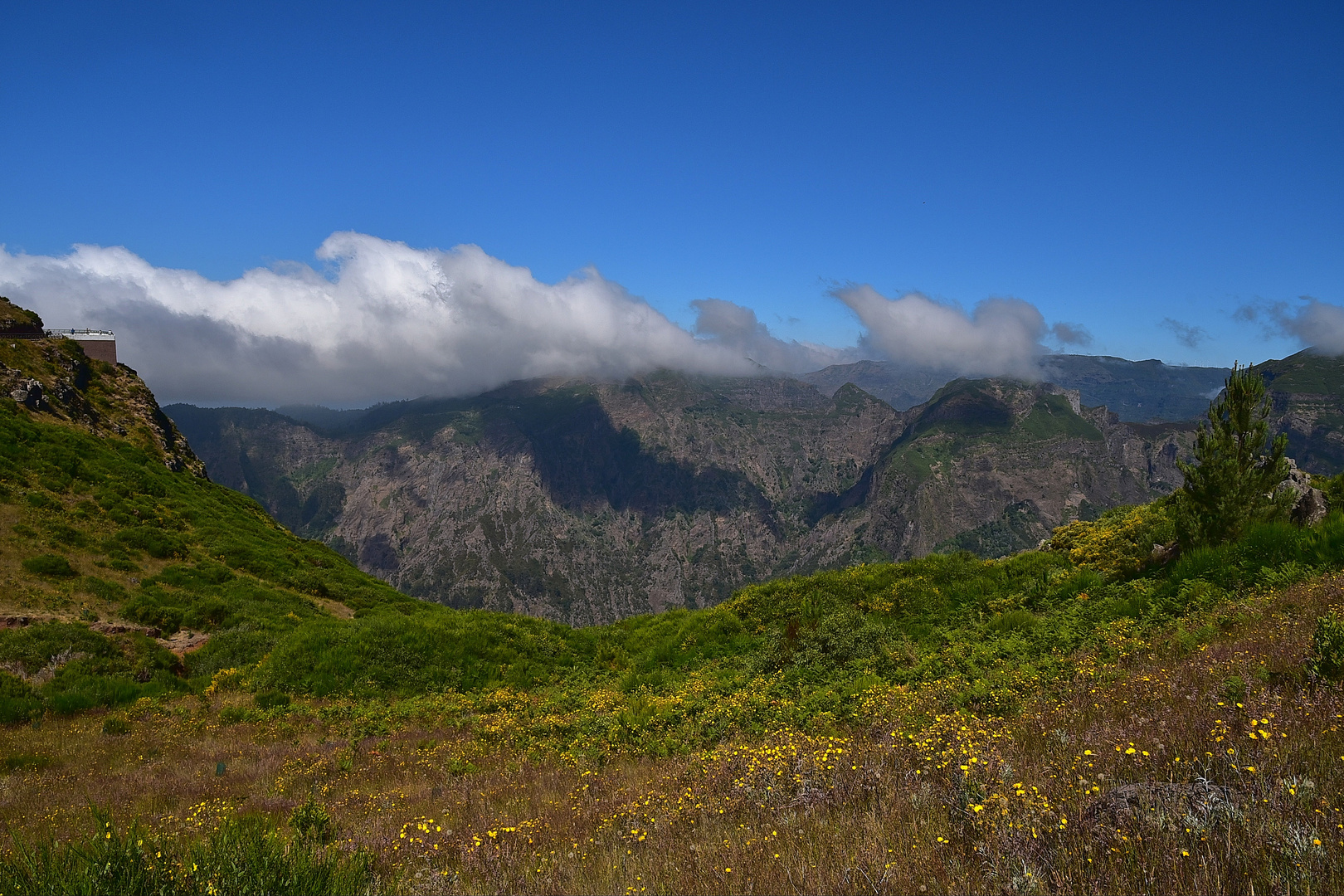 Miradouro do Paredão / Madeira