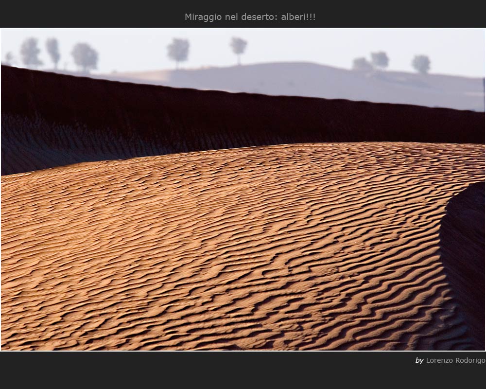 Miraggio nel deserto: alberi!!!