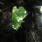 Mirando al cielo desde tus entrañas, como un ojo buscando lo divino.