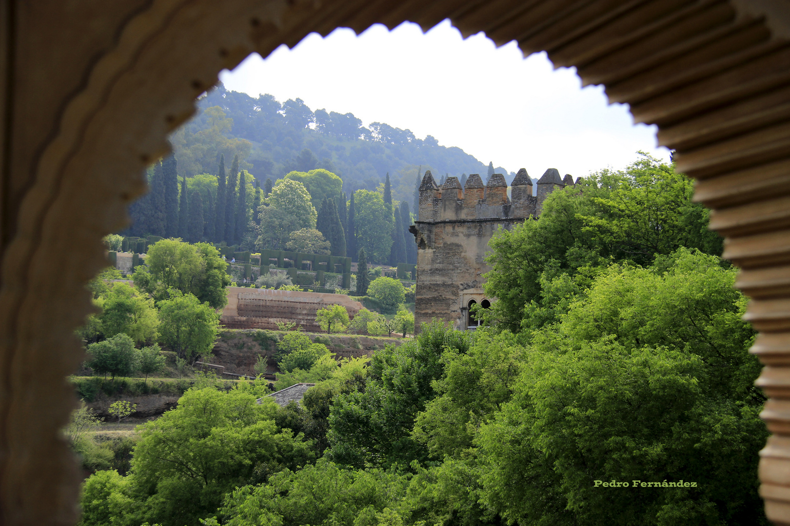 Mirando al Generalife.