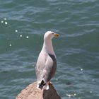 MIrando al mar